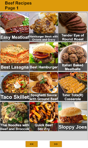 120 Beef Recipes Screenshot 0
