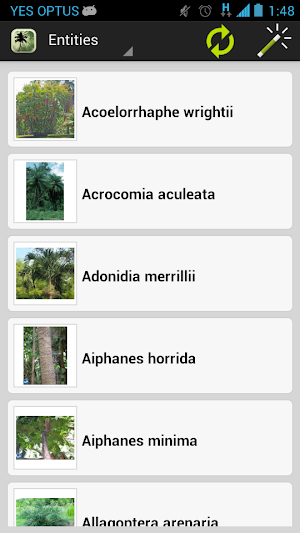 Palm ID Key Screenshot 2