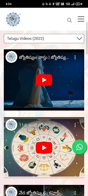 Vedic Astrologer Kapoor Screenshot 3
