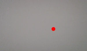 Cat Toy pro Screenshot 3