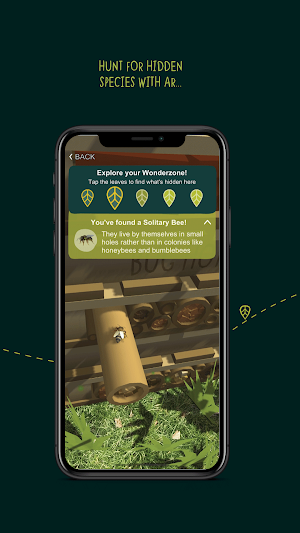 Wild Wander Screenshot 1