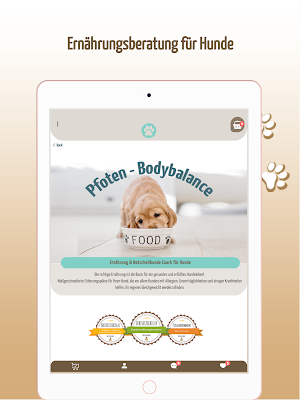 Hunde Pfoten Balance Screenshot 3