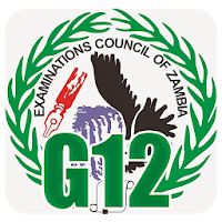 G12 ECZ Past Papers