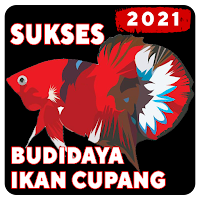 Cara Ternak Ikan Cupang 2021 L