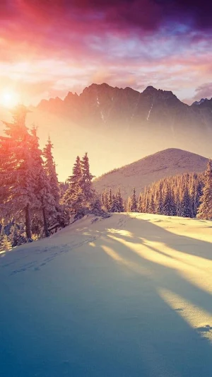 Winter Wallpapers 2022 Screenshot 0