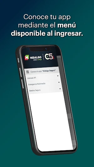 Hidalgo Seguro Screenshot 2