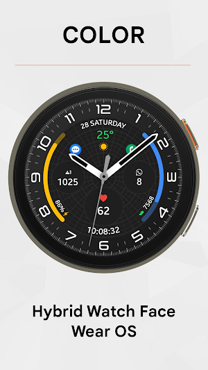 IV Hybrid Watch Face Screenshot 2