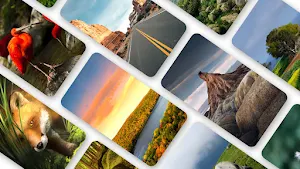Nature Wallpaper 2023 Screenshot 0