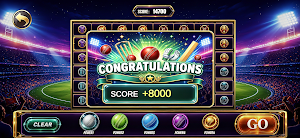 Blazing Cricket Game Screenshot 1