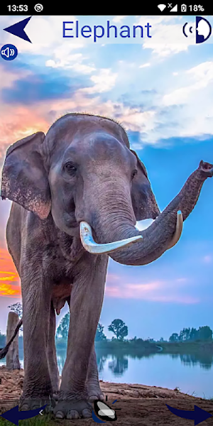 Animal Sounds For Kids Screenshot 2