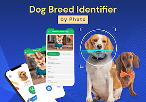 Dog Breed Identifier by Photo Screenshot 0