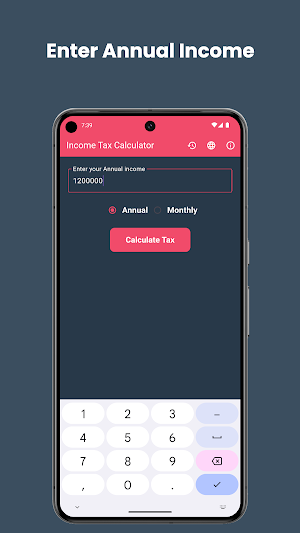 Income Tax Calculator 2024-25 Screenshot 3