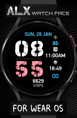 ALX22 LCD Watch Face Screenshot 1