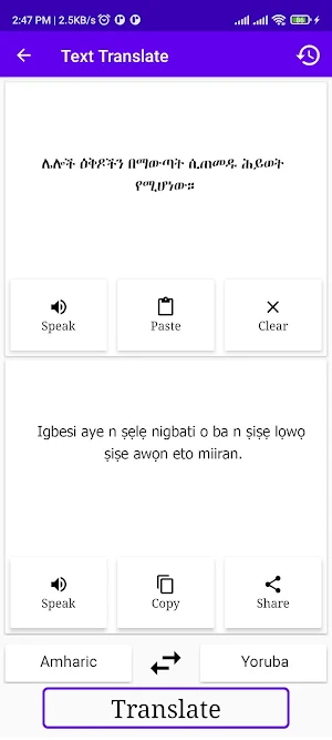 Amharic To Yoruba Translator Screenshot 1