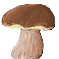 mushroomizer