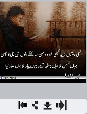 Ibn e Insha Shayari Screenshot 3