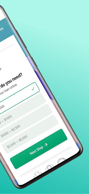 250 Instant Cash Advance Screenshot 1