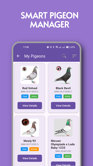 PigeonProfile - Loft Manager Screenshot 0