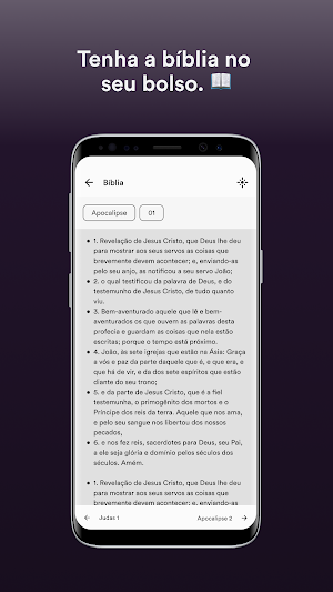Portal IBNPaz Screenshot 2