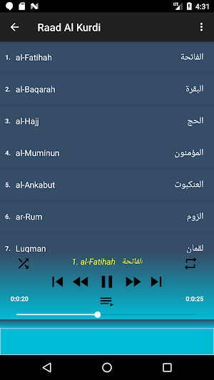 Raad Al Kurdi Quran MP3 & read offline (Quality) Screenshot 0