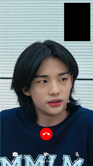 Stray Kids Chat & Video Call Screenshot 3