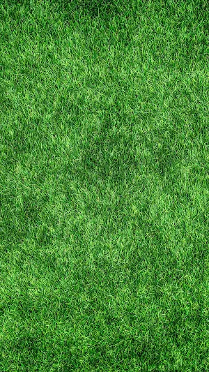 wallpaper Screenshot 3