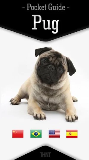 Pug - Pocket Guide Screenshot 0