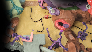 The Sense Point: Puzzle Quest Screenshot 3