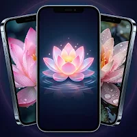 Sacred Lotus Flowers Wallpaper