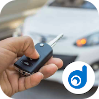 Car Alarm Sounds