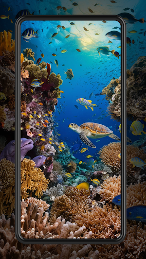 Ocean Wallpapers 4K 2024 Screenshot 2