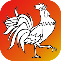 Bird Coloring for Kids