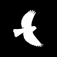 GolfBluebird