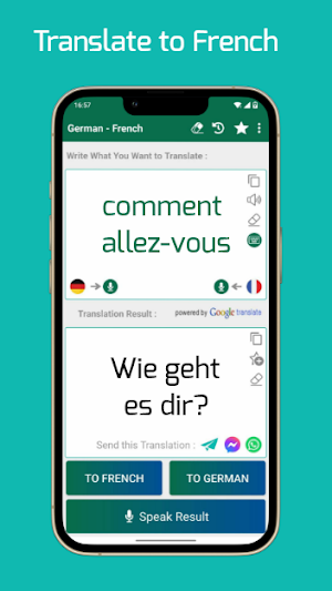 French - German Translator Screenshot 2