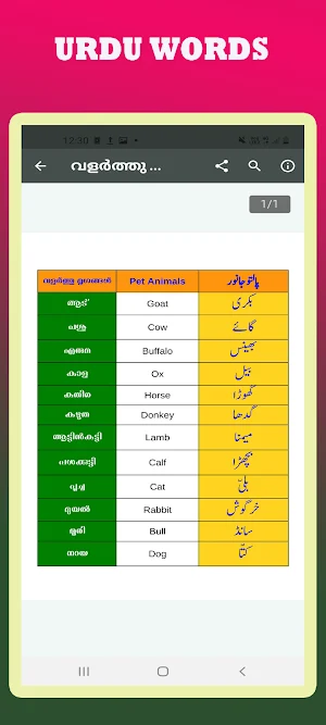 Urdu Malayalam Guide Screenshot 3