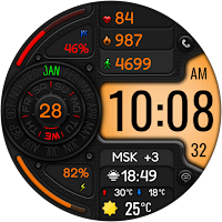 DIGI LITRACON CTS79 Watch face