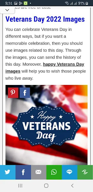Happy Veterans Day Screenshot 3