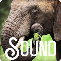 Elephant Soundboard Ringtones