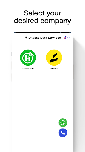 Dhalaal Data Services Screenshot 0