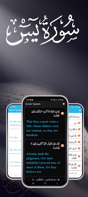 Surah Yaseen in English Trans Screenshot 1