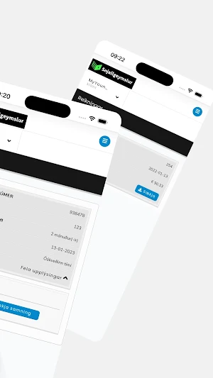 Snjallgeymslur Screenshot 1