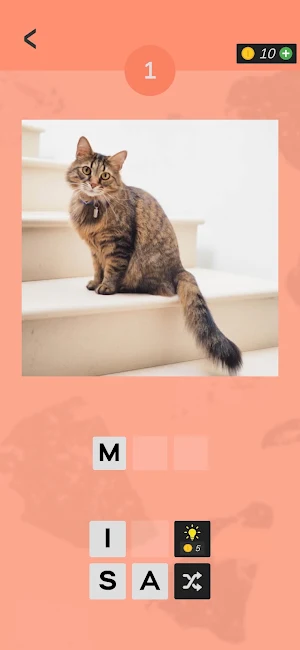 Guess The Cat Name Screenshot 0