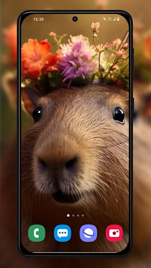 Capybara Wallpapers Background Screenshot 2