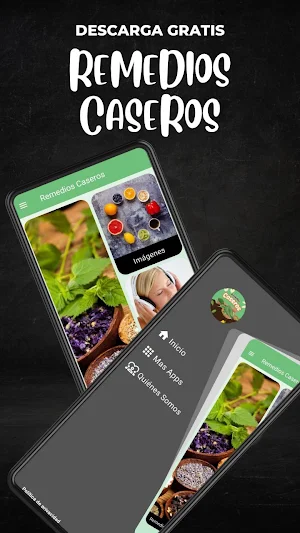 Remedios caseros Screenshot 0