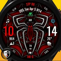 Spider Watch Face 063