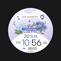 SamWatch Flower 2024 Hydrangea