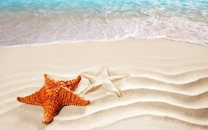 Starfish Wallpapers Screenshot 3