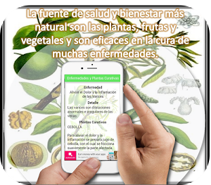 Plantas Medicinales Screenshot 3