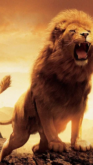 Lion Wallpapers Screenshot 1