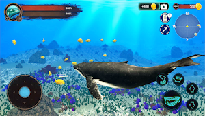 The Humpback Whales Screenshot 2